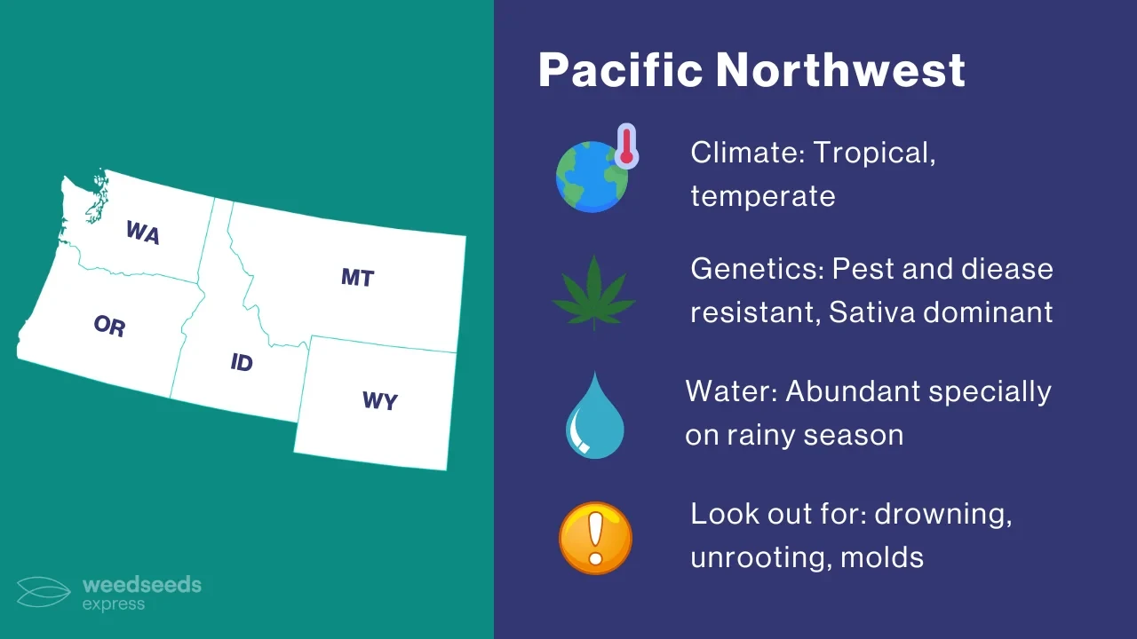 Cannabis Growing Climate in the Pacific Northwest